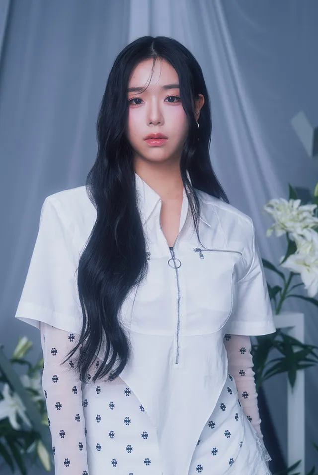 김채연