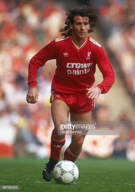 데이비드 콜린스