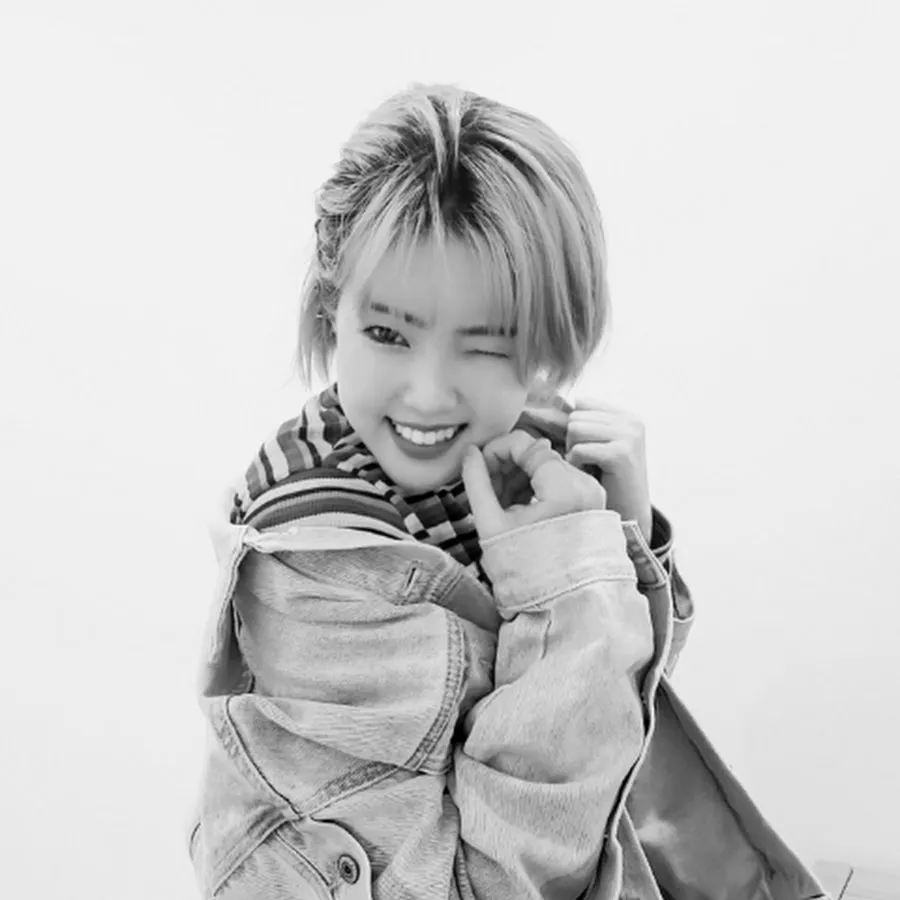 메이다니