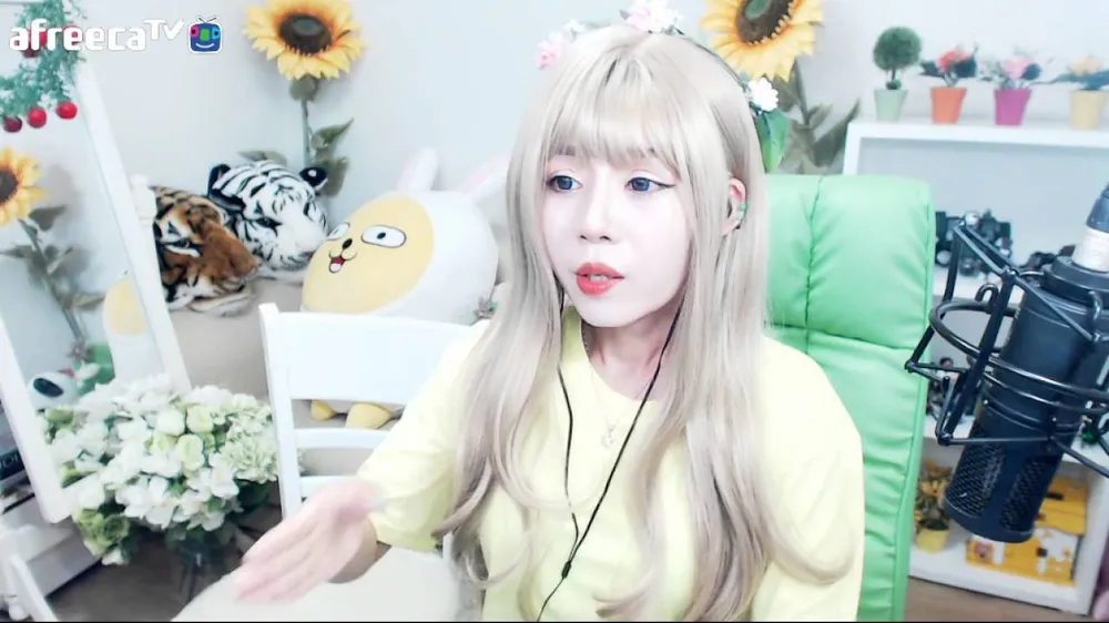 손봄향