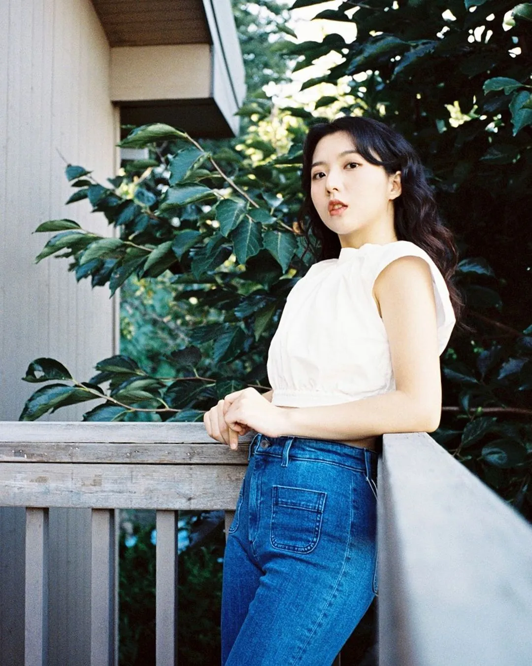 스텔라장
