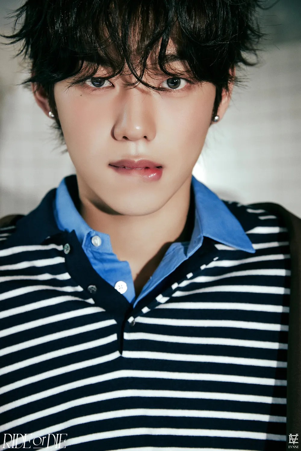 이정현(EVNNE)