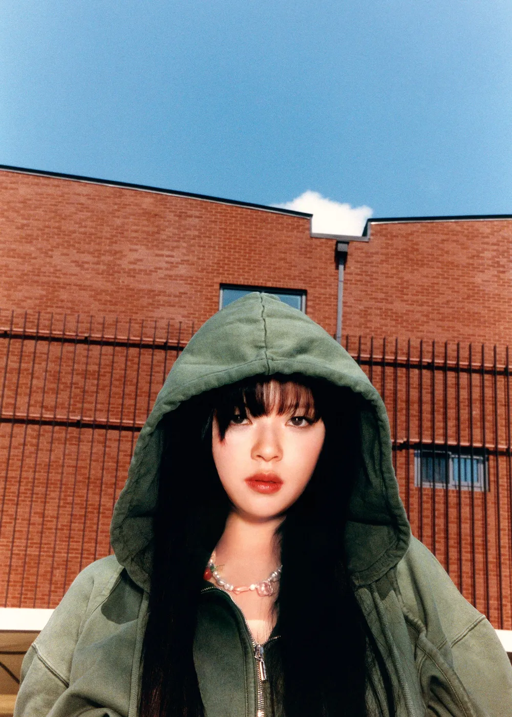 정연