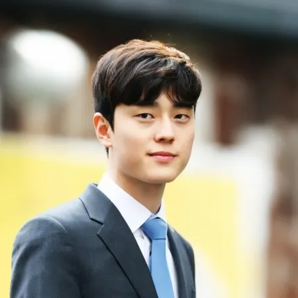 정한도