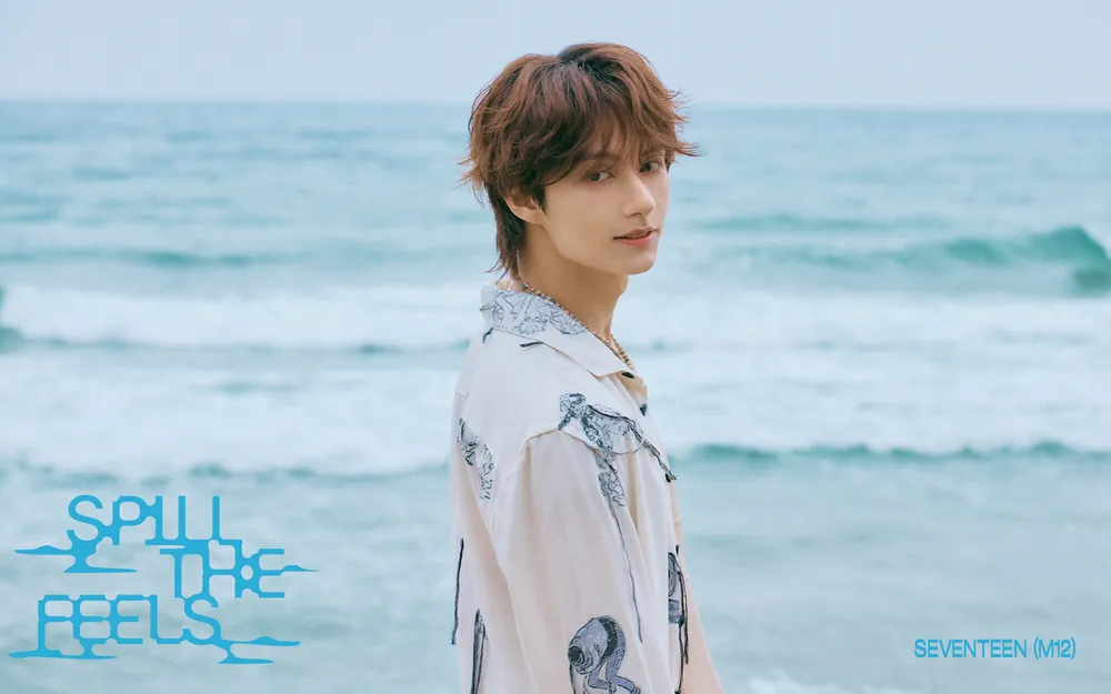준(세븐틴)