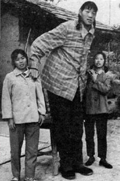 쩡진롄