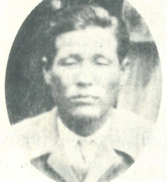 최시화